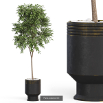 Plants collection vol 13