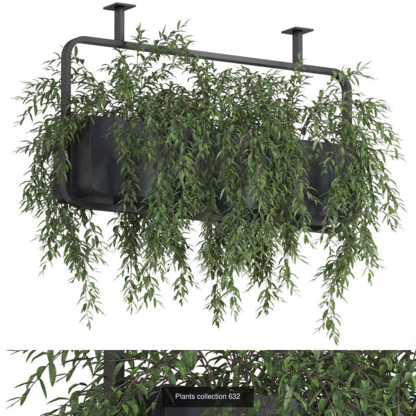 Plants collection vol 13