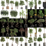 Plants collection vol 13