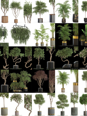 Plants collection vol 13