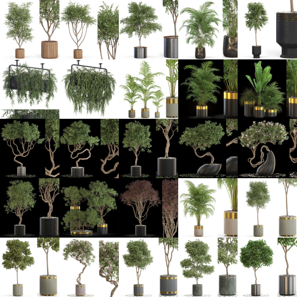 Plants collection vol 13