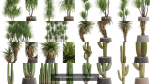 Plants collection vol 15