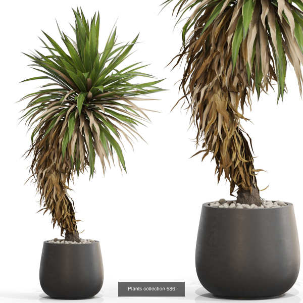 Plants collection vol 15