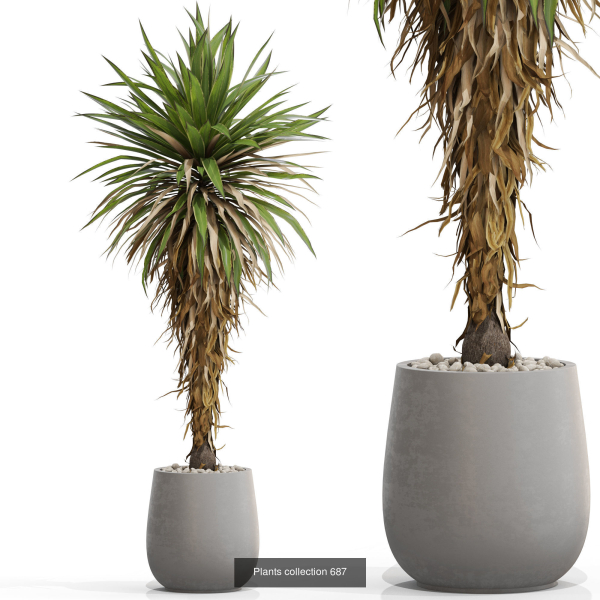 Plants collection vol 15