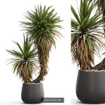 Plants collection vol 15