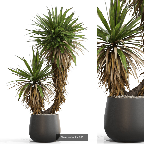Plants collection vol 15