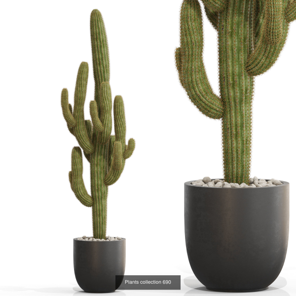 Plants collection vol 15