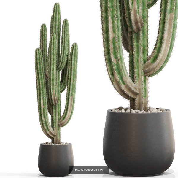 Plants collection vol 15