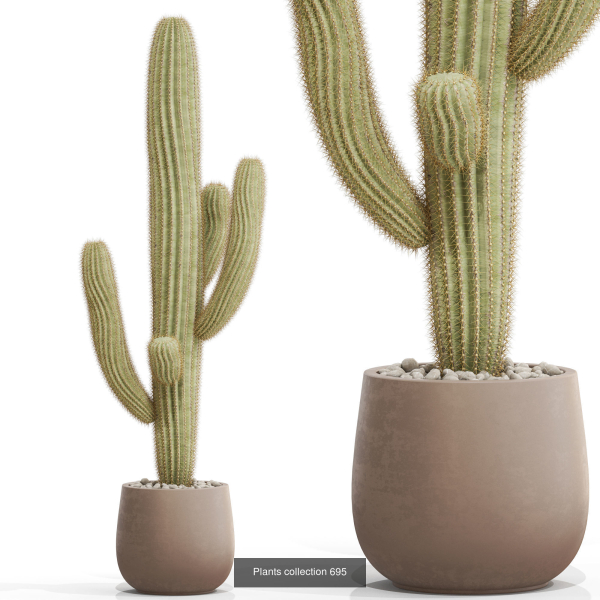 Plants collection vol 15