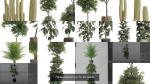 Plants collection vol 15