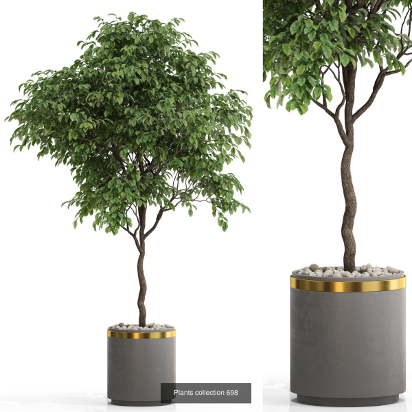 Plants collection vol 15