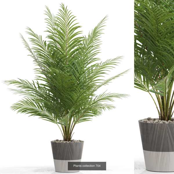 Plants collection vol 15