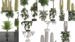 Plants collection vol 15