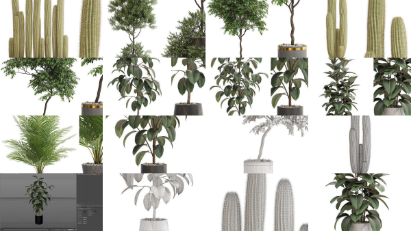 Plants collection vol 15