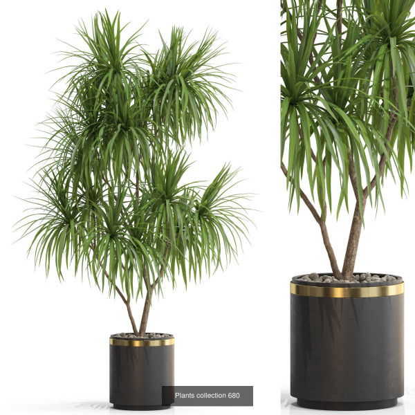Plants collection vol 15