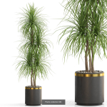 Plants collection vol 15