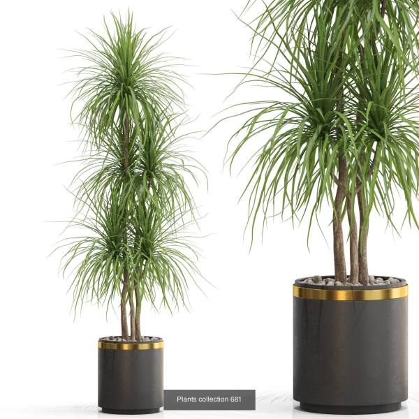 Plants collection vol 15
