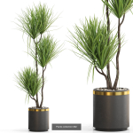 Plants collection vol 15
