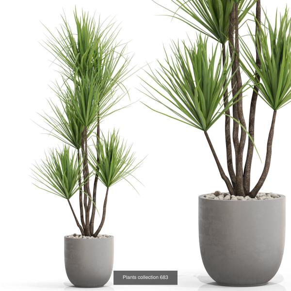 Plants collection vol 15