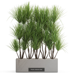 Plants collection vol 15