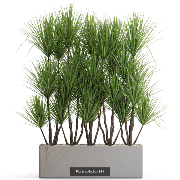 Plants collection vol 15