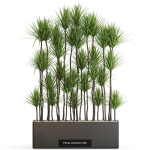 Plants collection vol 15