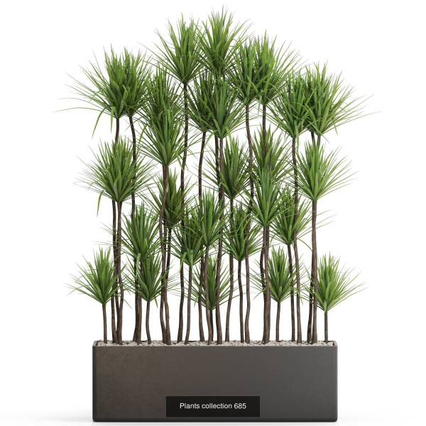 Plants collection vol 15