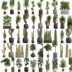 Plants collection vol 15