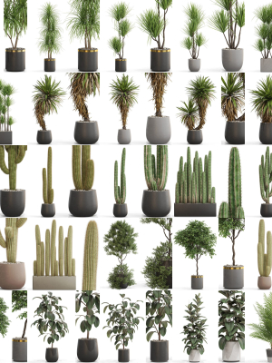 Plants collection vol 15