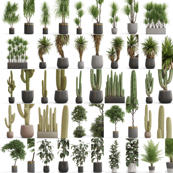 Plants collection vol 15