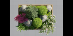 plants collection vol 17-Blender