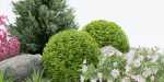 plants collection vol 17-Blender