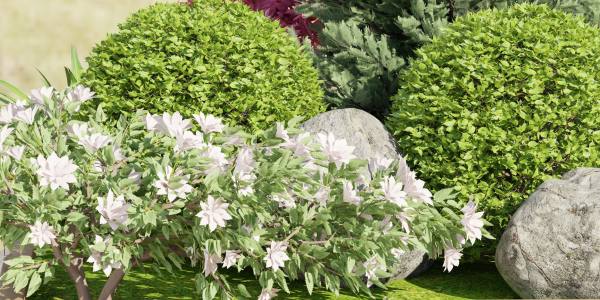 plants collection vol 17-Blender