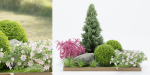 plants collection vol 17-Blender