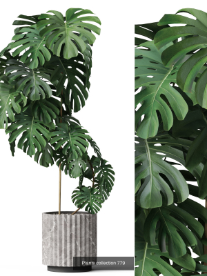 plants-collection-vol-18-3d-model-max-obj-fbx-c4d-blend
