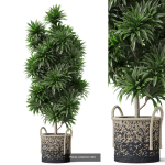 Plants collection vol 18