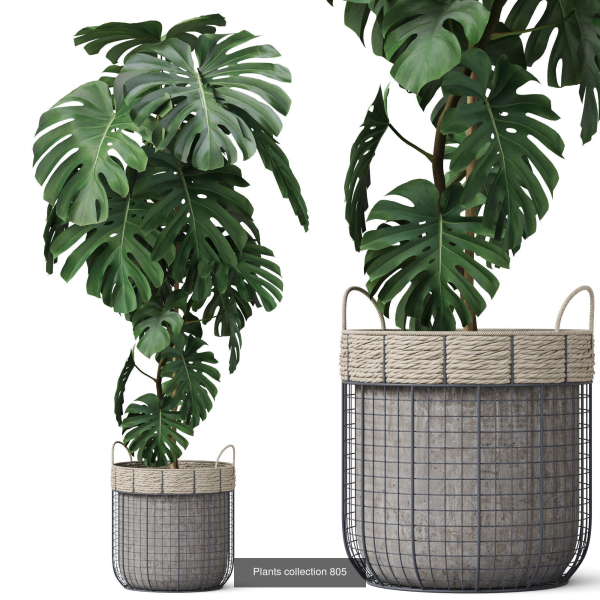 Plants collection vol 18