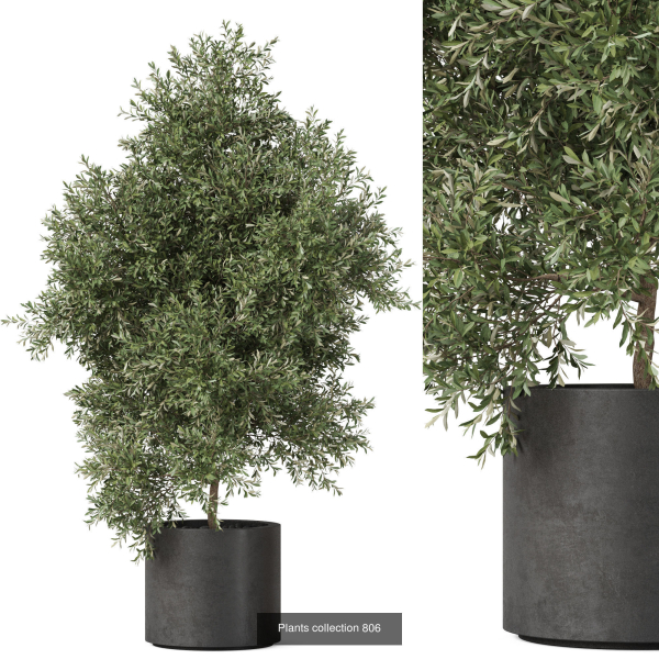 Plants collection vol 18