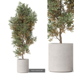 Plants collection vol 18