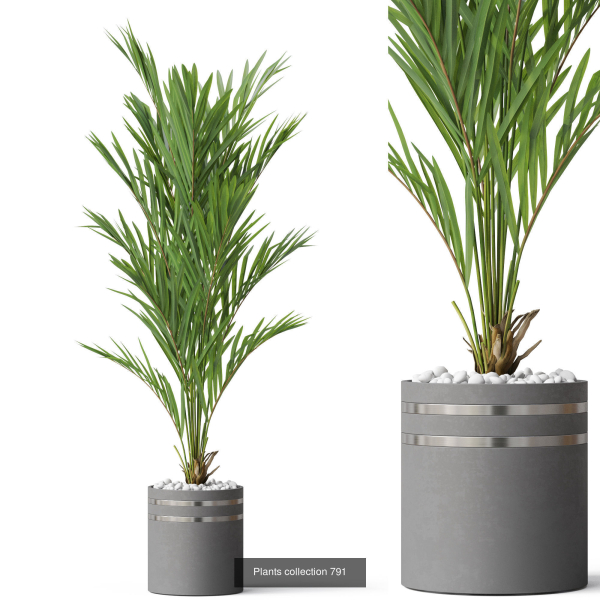 Plants collection vol 18