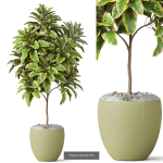Plants collection vol 18