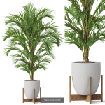 Plants collection vol 18
