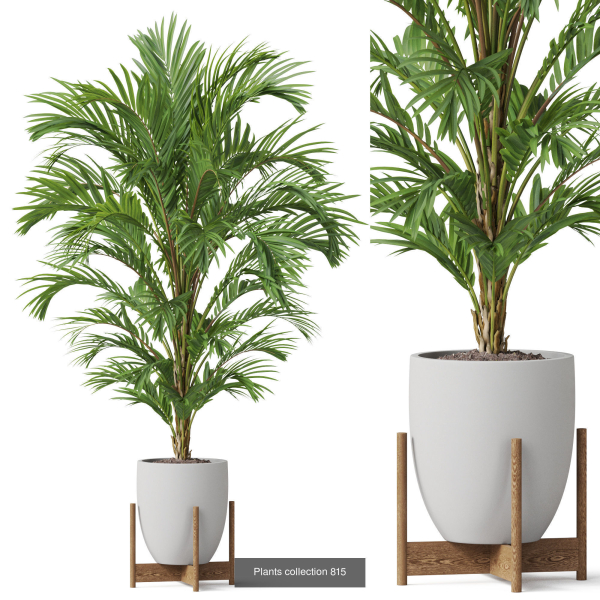 Plants collection vol 18