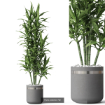 Plants collection vol 18