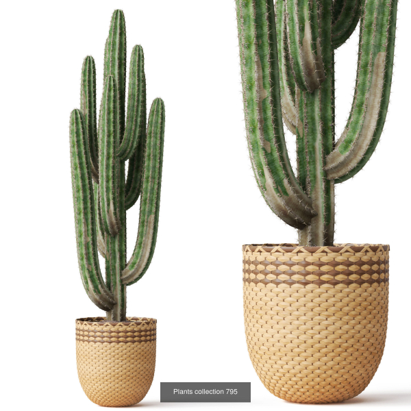 Plants collection vol 18