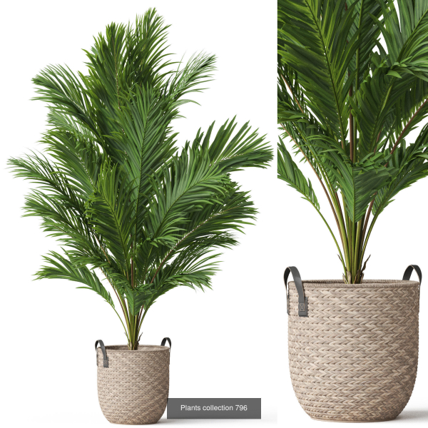 Plants collection vol 18