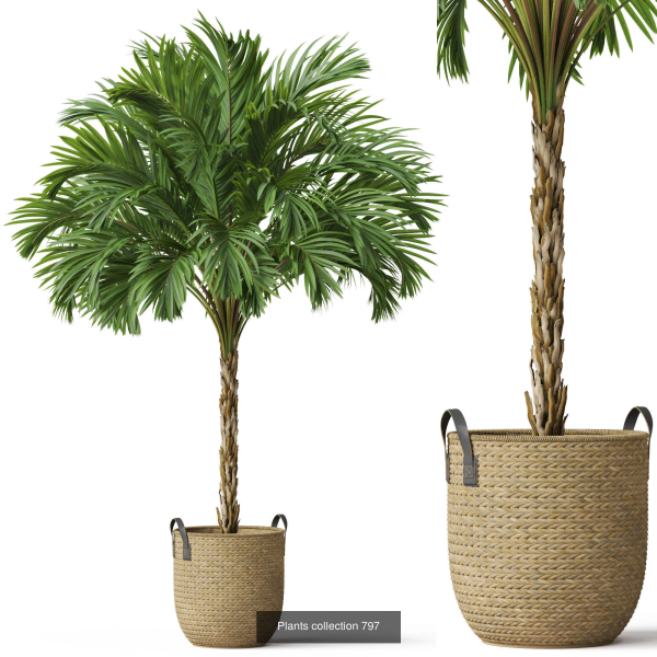 Plants collection vol 18