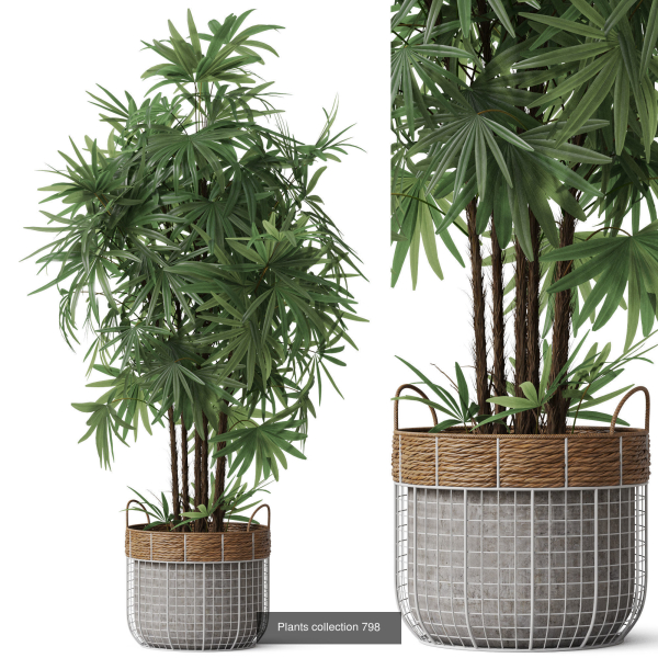 Plants collection vol 18