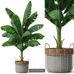 Plants collection vol 18