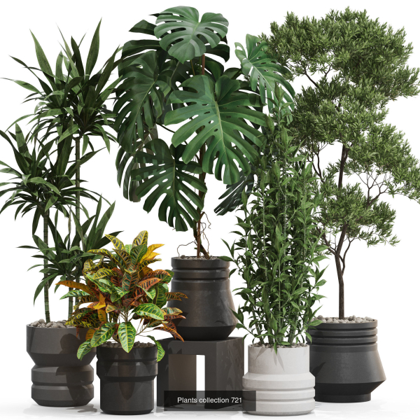 Plants collection vol 21